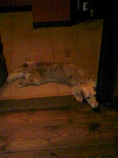 090622_2041~01.jpg