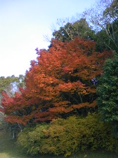 091129_1418~01.jpg